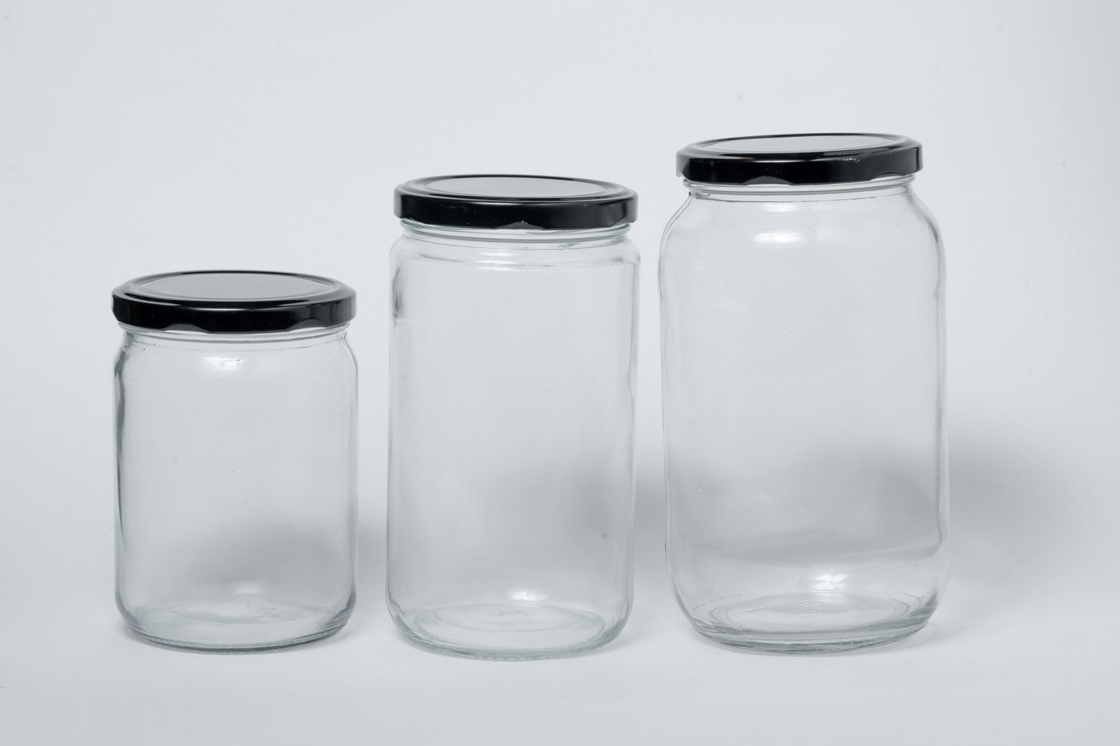 salsa jar family